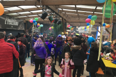 Fasching 2018 Neustadt